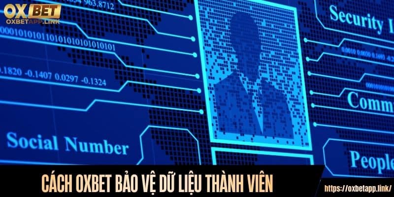 Cách Oxbet bảo vệ dữ liệu thành viên