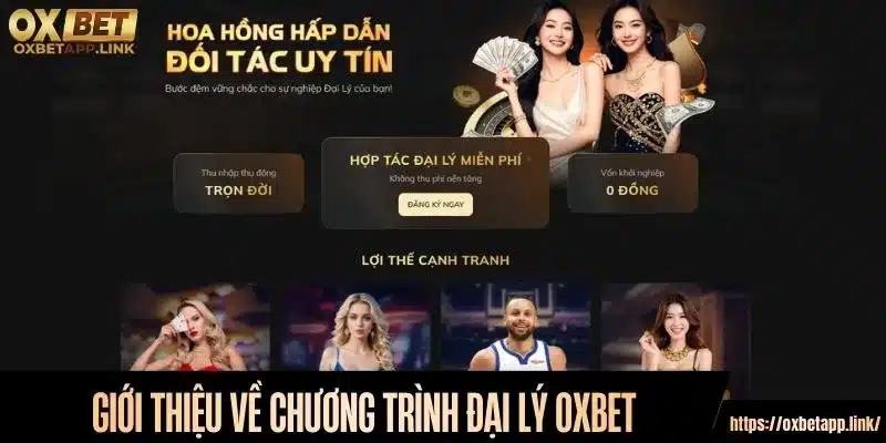 Giới thiệu về chương trình đại lý Oxbet