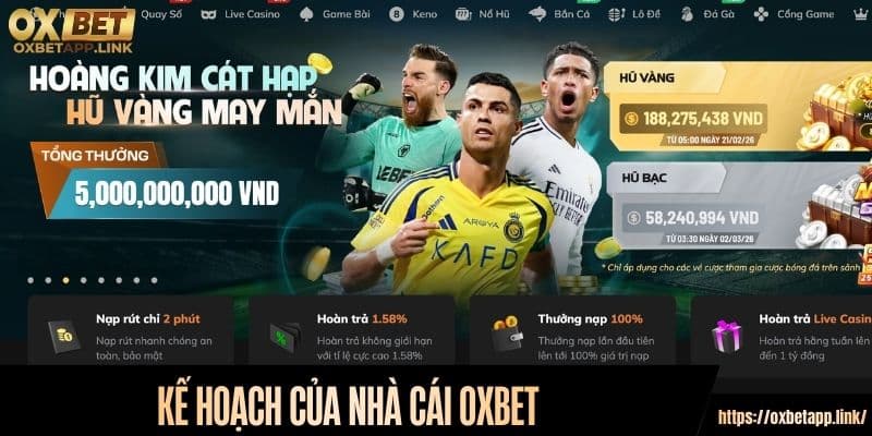 Kế hoạch của nhà cái Oxbet